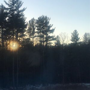 Meet your Posher, Theresa